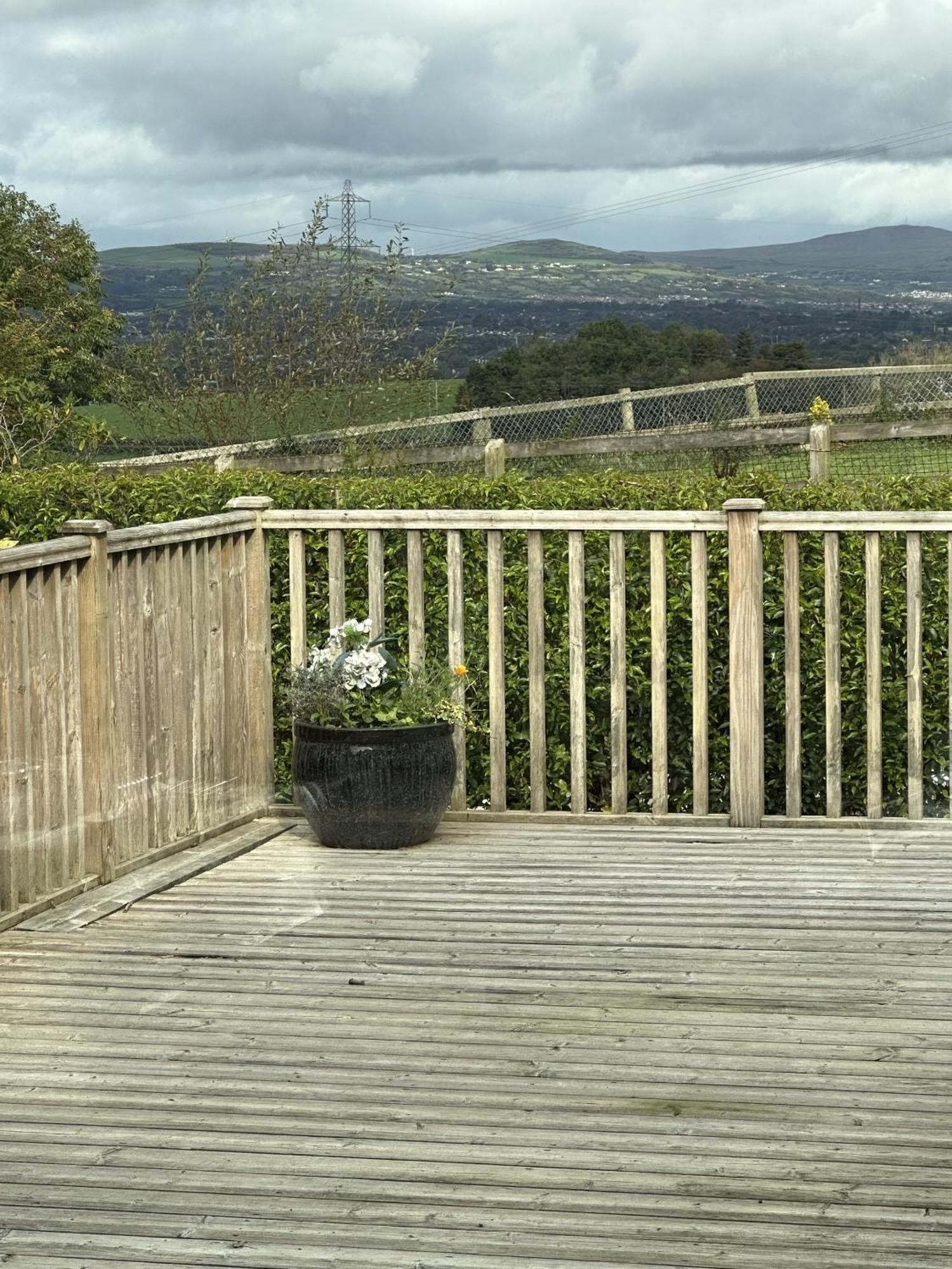 Dunhill Cottage B&B 힐스버러 외부 사진