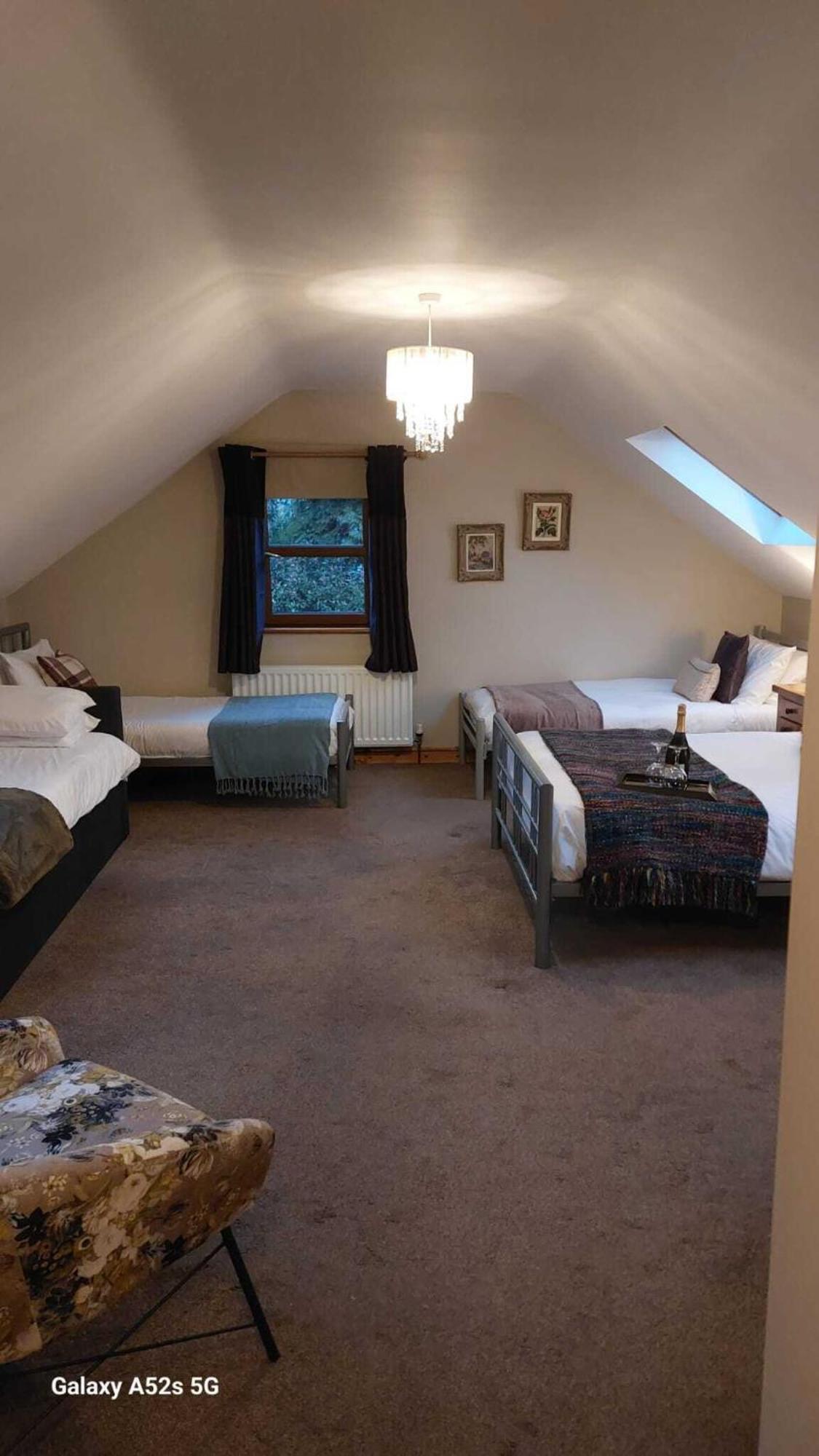 Dunhill Cottage B&B 힐스버러 객실 사진